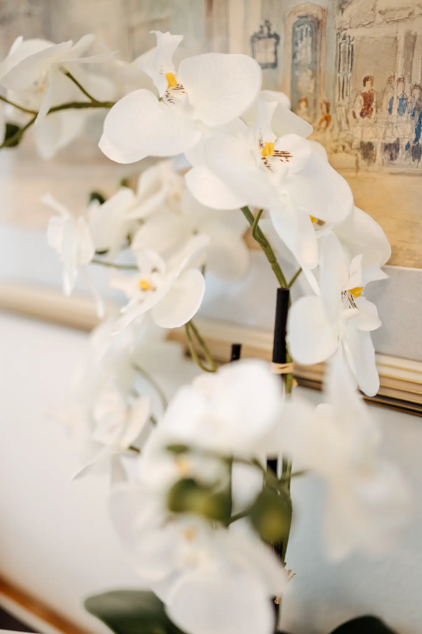 Weiße Orchidee in der Ordination von Dr. Emanuel Gollegger